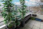 3-Zimmer-Wohnung in bester Lage mit Balkon und TG-Stellplatz 3 zimmer