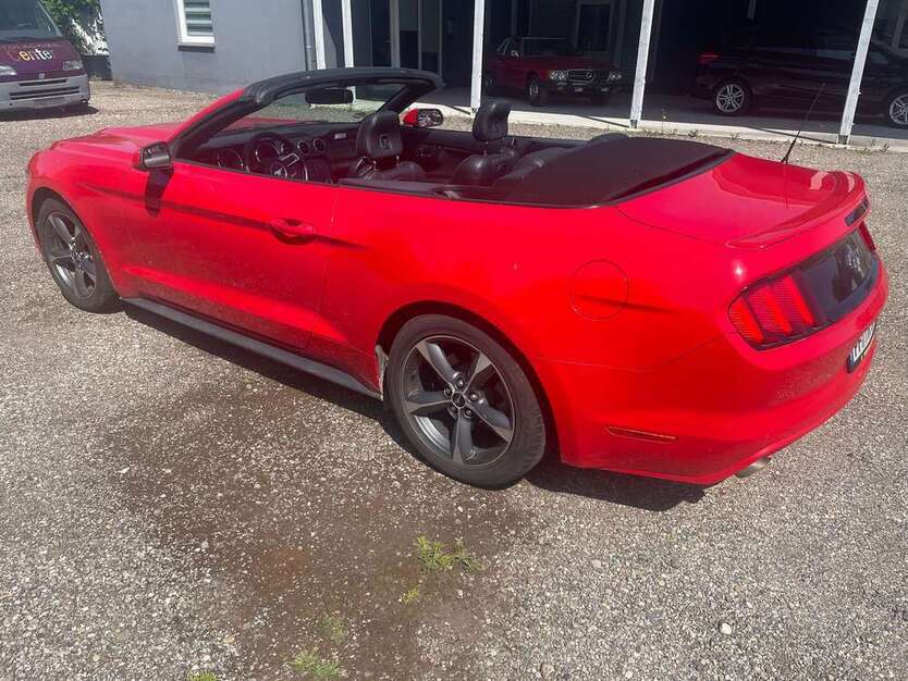 Mustang