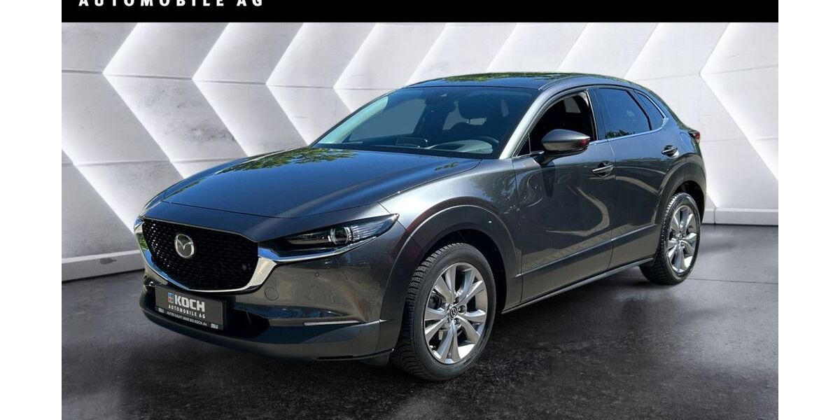 Mazda CX-30 29.895 km 20.990 &euro; Berlin 12681