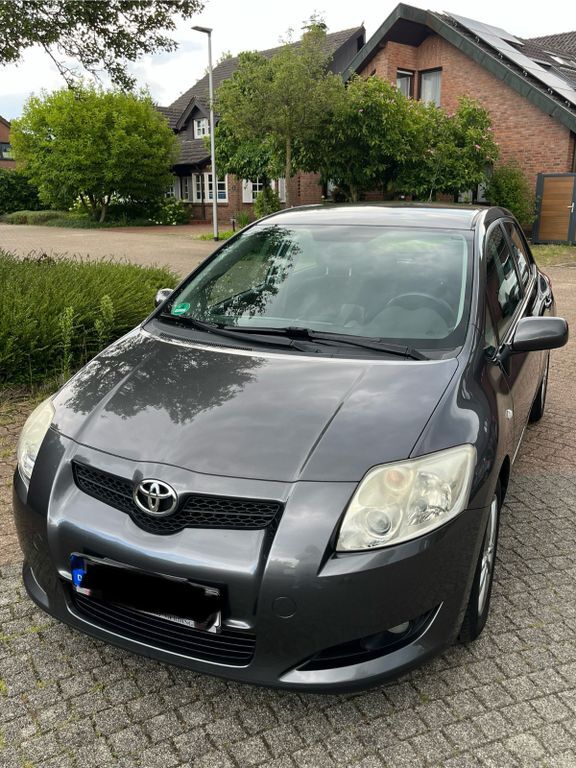 Auris