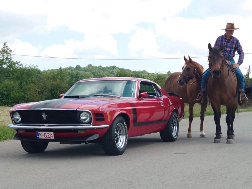 Mustang