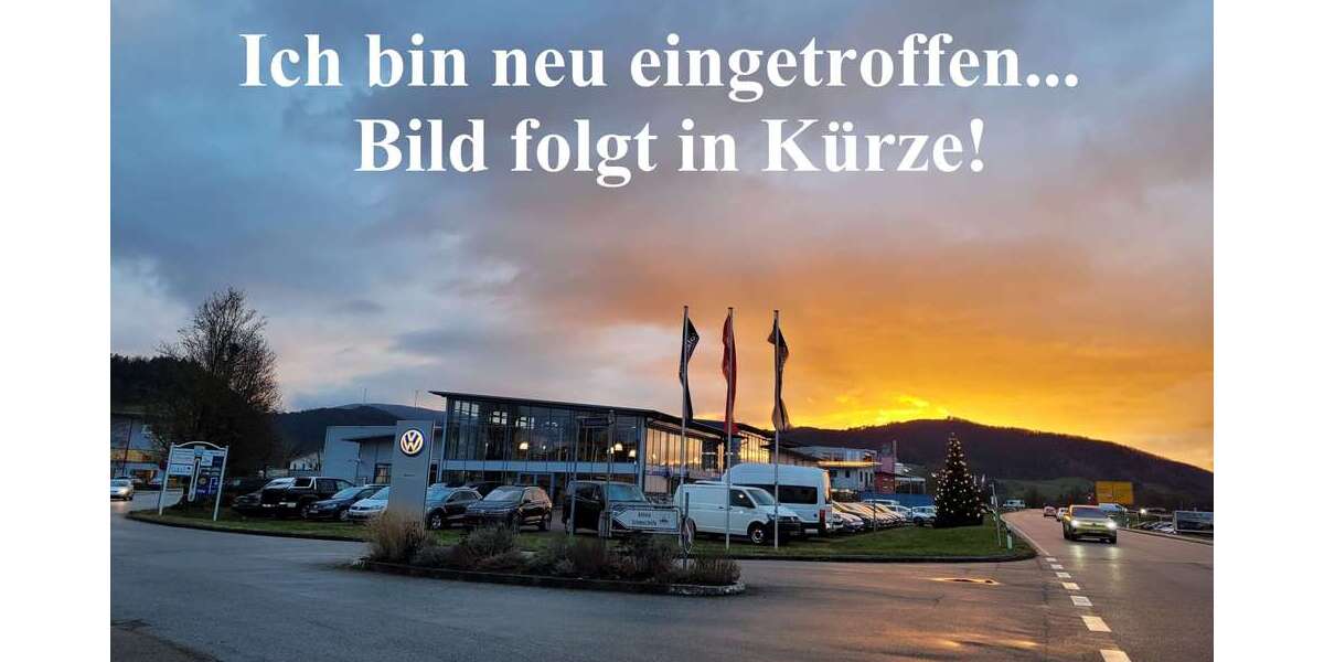 Seat Alhambra 147.200 km 19.890 &euro; Biberach 77781