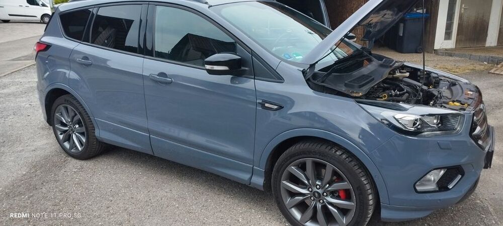 Kuga