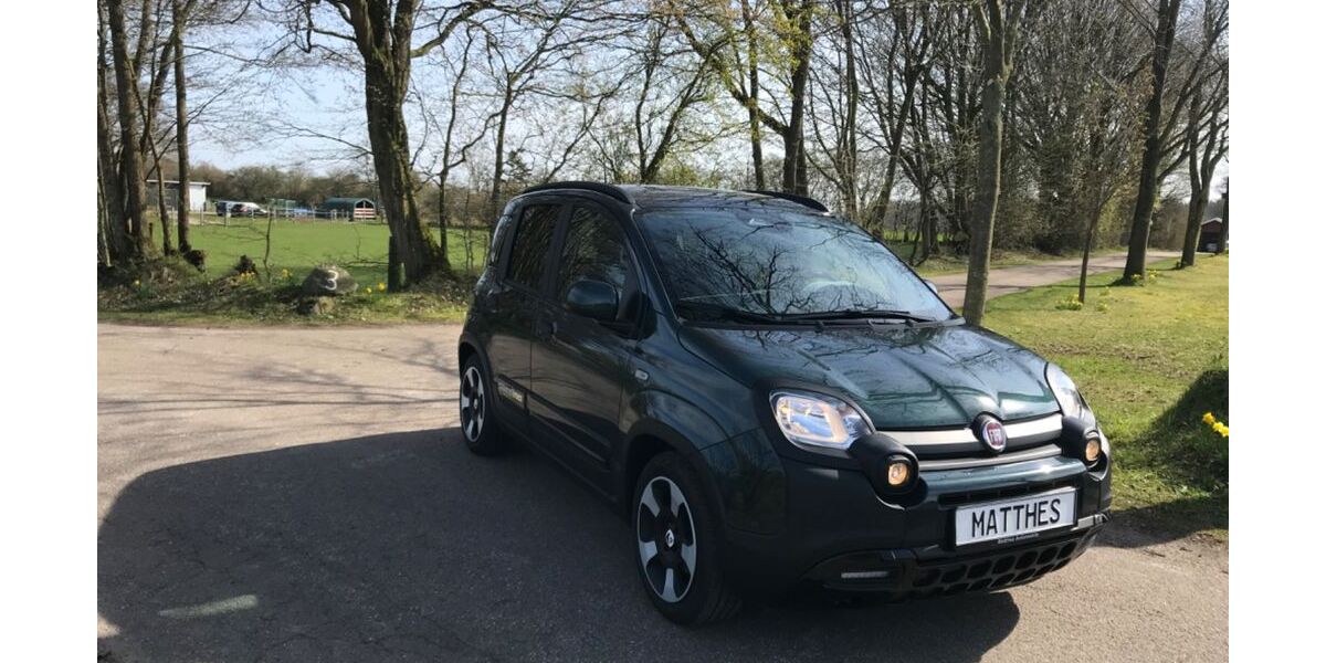 Fiat Panda 6.780 km 14.890 &euro; Flensburg 24941