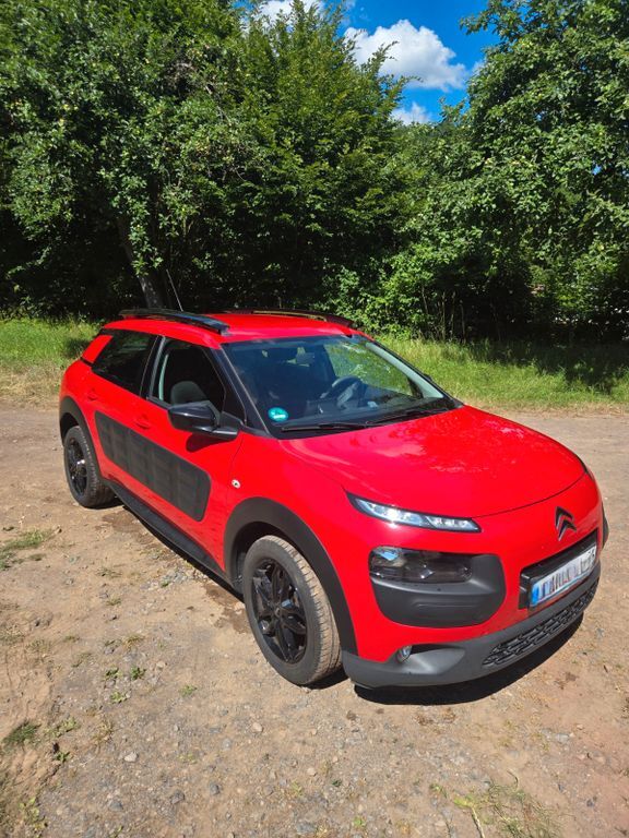 C4 Cactus
