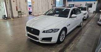 XF