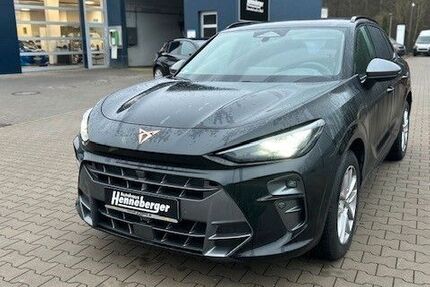 Cupra Terramar 6.222 km 39.490 &euro; Theilheim 97288