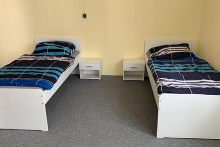 Vermiete möbliertes Appartment 1 ZKB in 55234 Eppelsheim bei Alzey 1 zimmer