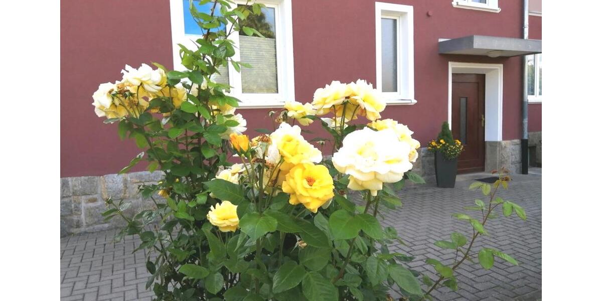 Etagenwohnung Hof Altstadt - 1 Zimmer, 51 m&sup2;, 380&euro; | Angebot:26413752