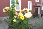 Etagenwohnung Hof Altstadt - 1 Zimmer, 51 m&sup2;, 380&euro; | Angebot:26413752