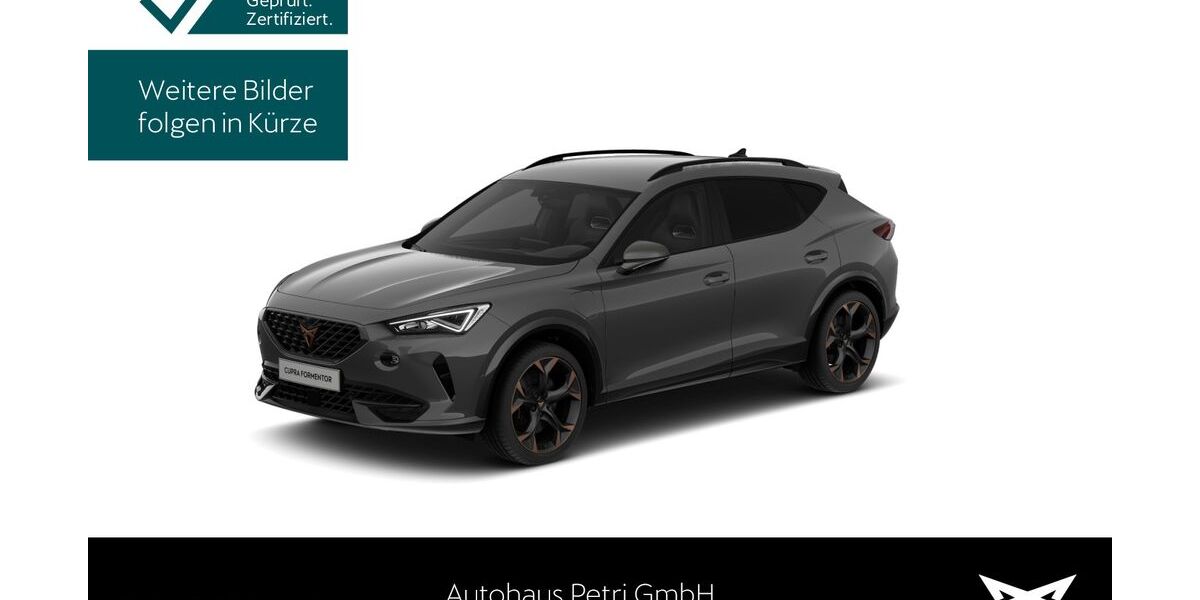 Cupra Formentor 15.247 km 28.730 &euro; Hofheim-Diedenbergen 65719