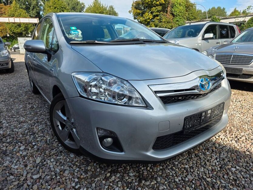 Auris