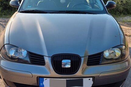 Seat Ibiza 190.200 km 1.100 € Biberach 77781