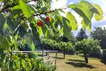 Freistehendes EFH in ruhiger Top-Lage von Freital