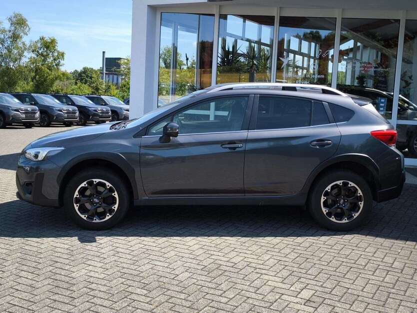 XV