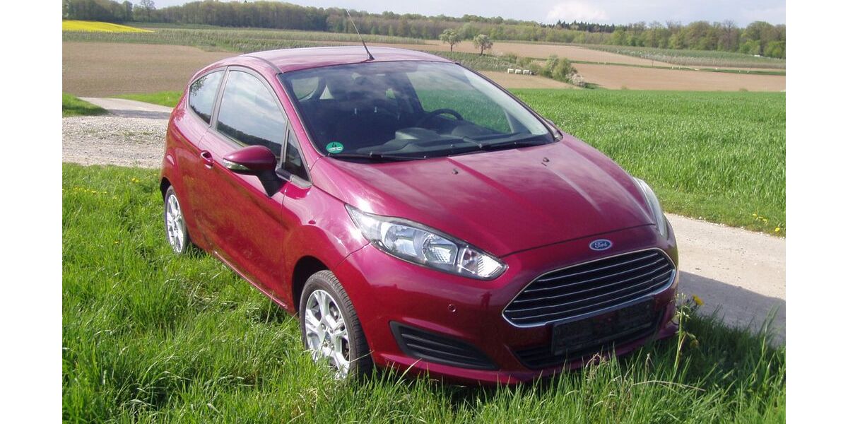 Ford Fiesta 181.000 km 4.300 &euro; Orendelsall 74639