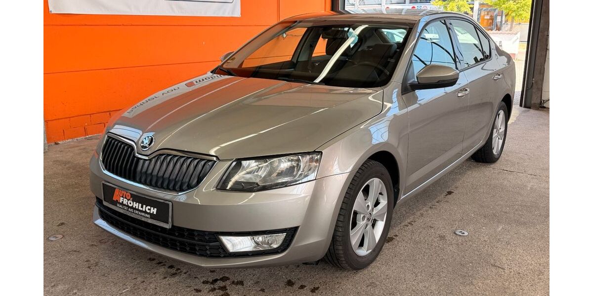 Skoda Octavia 156.000 km 8.999 &euro; Gaimersheim bei Ingolstadt 85080