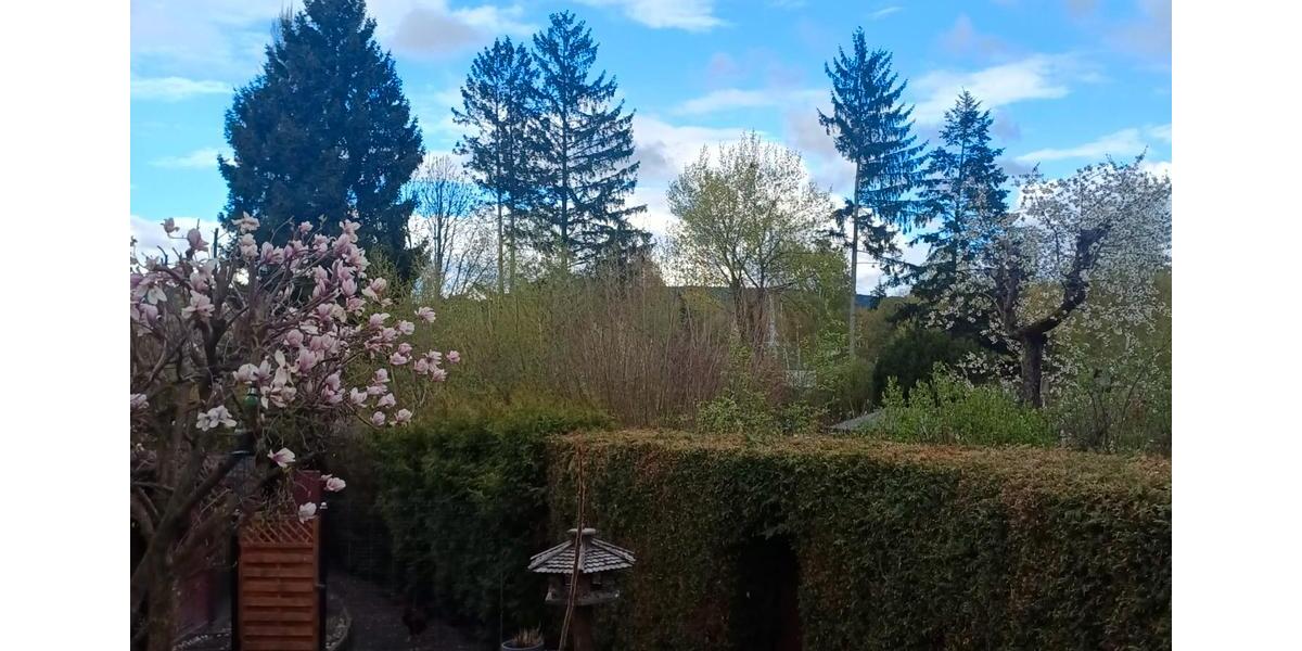 Einfamilienhaus Weiden in der Oberpfalz - 615.000&euro; | Angebot:26232608