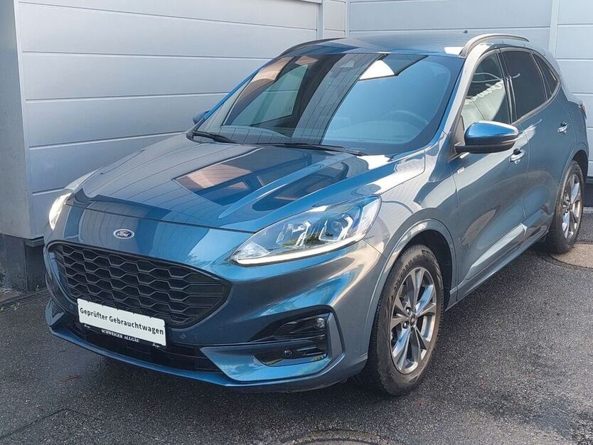 Kuga