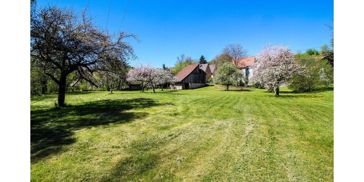 Einfamilienhaus mit Traumgrundstück direkt am Neckar in Rottweil-Bühlingen - Einfamilienhaus Rottweil-Bühlingen Bühlingen | Angebot:27070327