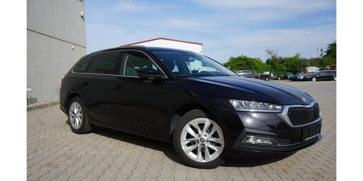 Skoda Octavia 111.075 km 19.895 &euro; Parkstetten 94365