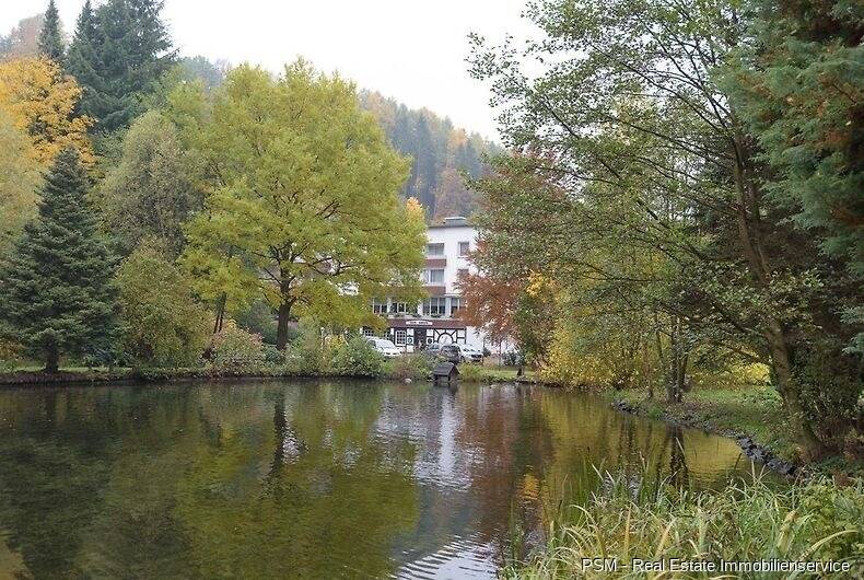 Gewerbeobjekt Winterberg Siedlinghausen - 590.000&euro; | Angebot:26155221