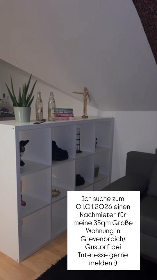 1 Zimmer Wohnung in Gustorf zimmer