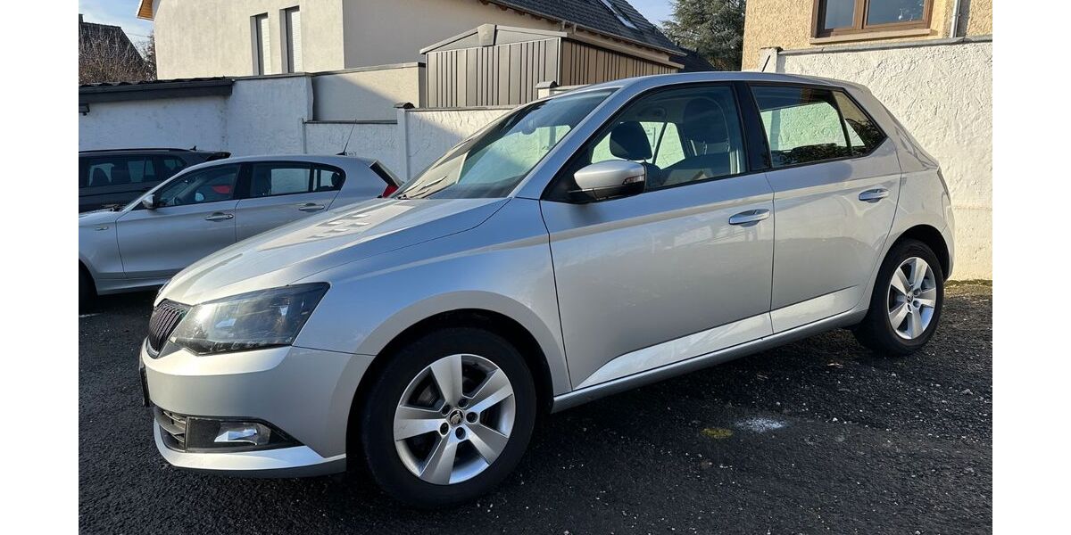 Skoda Fabia 122.964 km 8.500 € Hofheim am Taunus 65719
