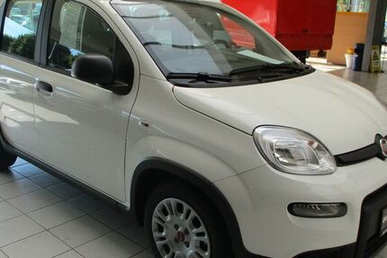 Fiat Panda 1.100 km 13.950 € Lingen - Baccum 49811