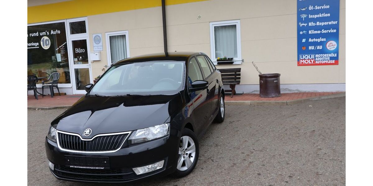 Skoda Rapid 117.100 km 8.700 &euro; Pleystein 92714