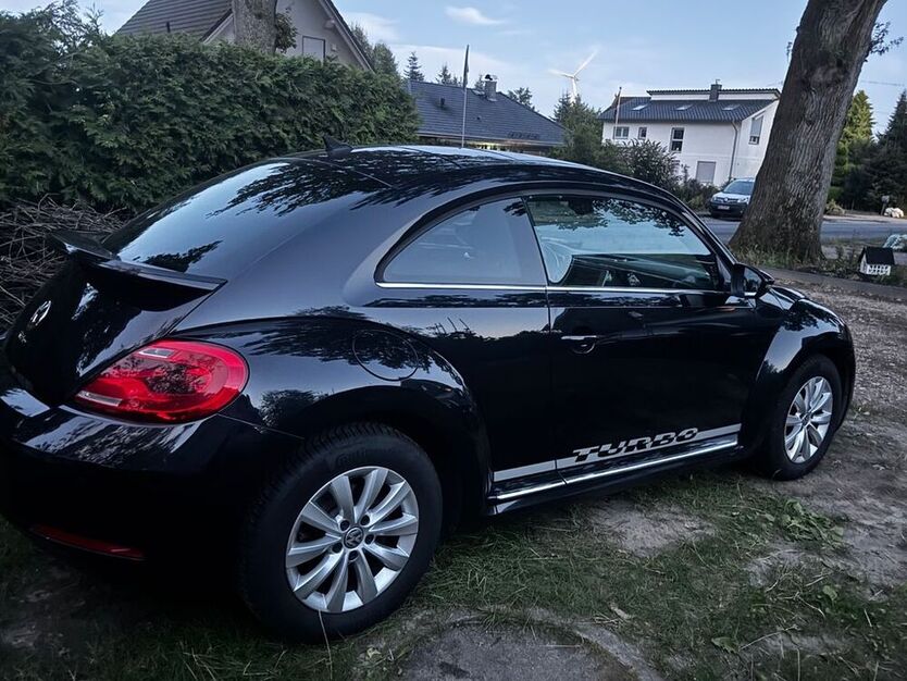 Beetle