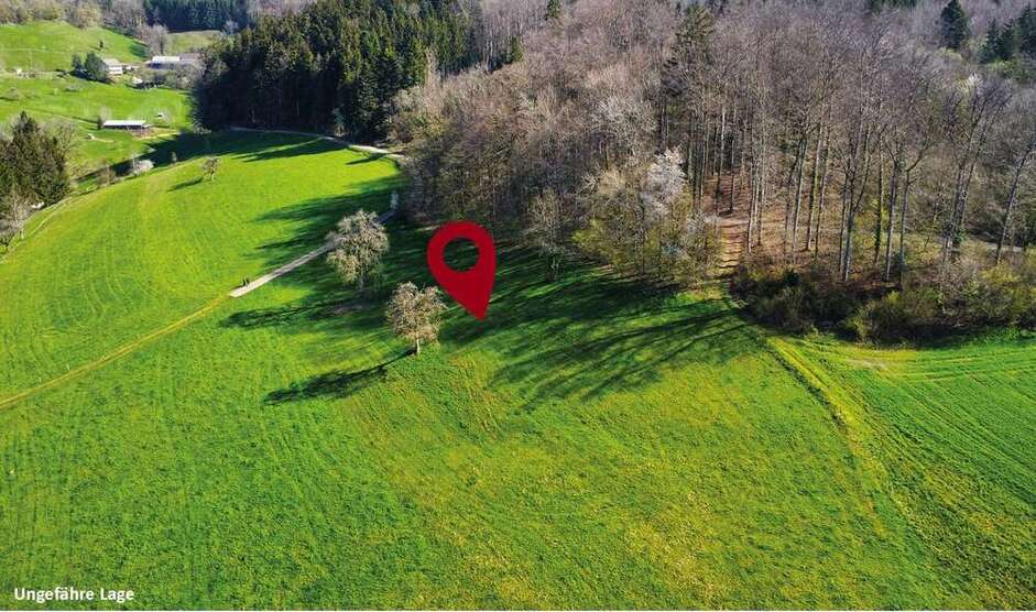Grundstück zu verkaufen in Schopfheim 16.500 € 8834 m²