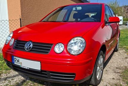 VW Polo 233.000 km 1.250 &euro; Roth 91154