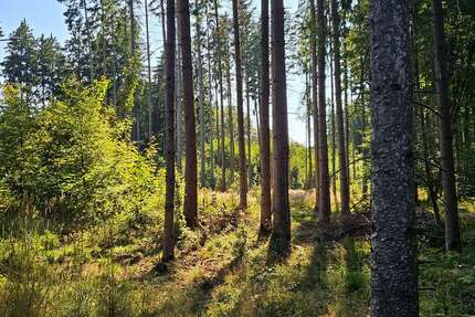 Grundstück in Böhmfeld 99.000 € 25059 m² zimmer