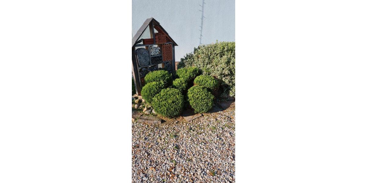 Einfamilienhaus Wurzen - 500.000&euro; | Angebot:26697123