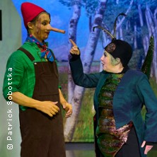 Pinocchios Abenteuer 10.01.2026 Theater für Kinder
