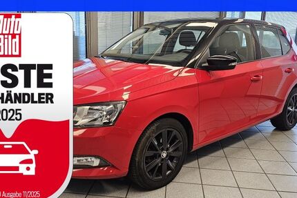 Skoda Fabia 195.000 km 6.300 € Wolfsburg-Heiligendorf 38444