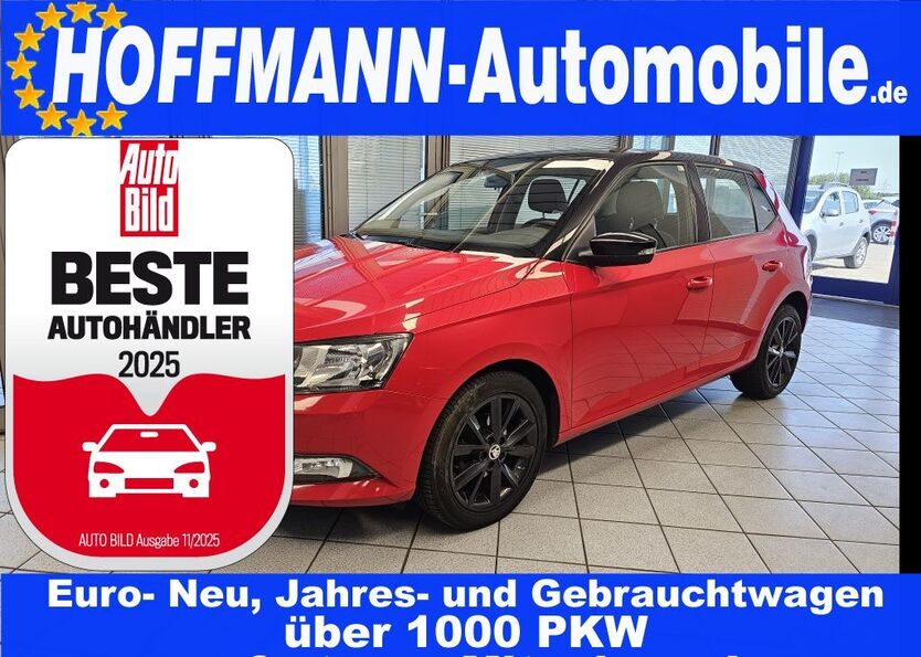 Skoda Fabia 195.000 km 6.300 € Wolfsburg-Heiligendorf 38444