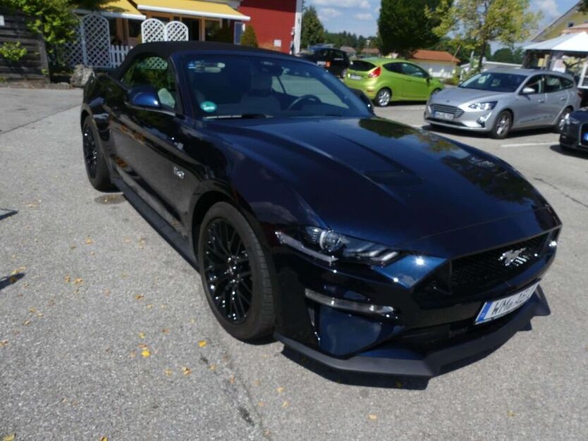 Mustang