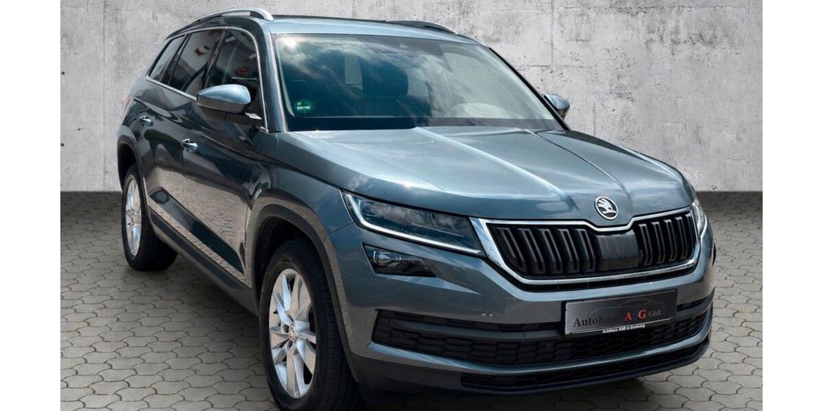 Skoda Kodiaq 114.120 km 21.900 &euro; Eisenberg 07607