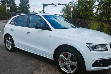 Audi SQ5 222.460 km 21.995 &euro; Siebeldingen 76833
