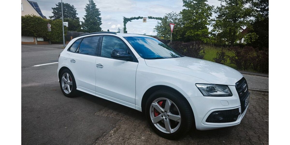 Audi SQ5 222.460 km 21.995 &euro; Siebeldingen 76833