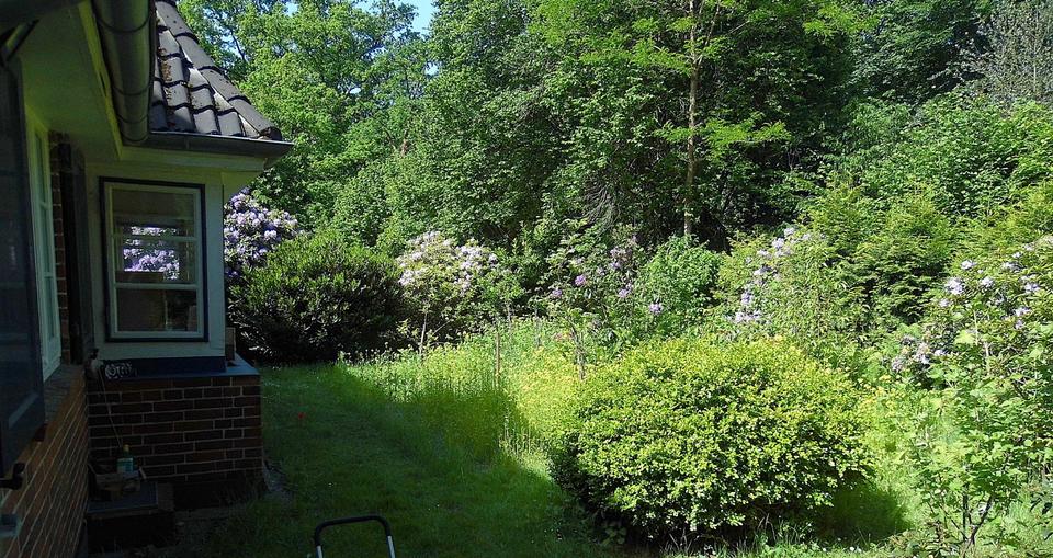 Einfamilienhaus Worpswede - 625.000&euro; | Angebot:26847533