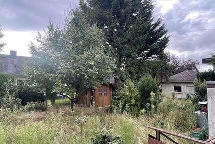 Haus Hochheim am Main - 6 Zimmer, 165 m&sup2;, 599.000&euro; | Angebot:25606577