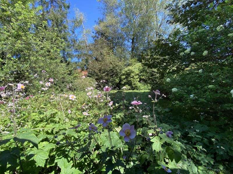 Grundstück zu verkaufen in Bernau 919.000 € 812 m²