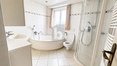 3 EINHEITEN, WEITBLICK & VIEL POTENZIAL - Mehrfamilienhaus, Wohnhaus Waldshut-Tiengen Tiengen | Angebot:27056877