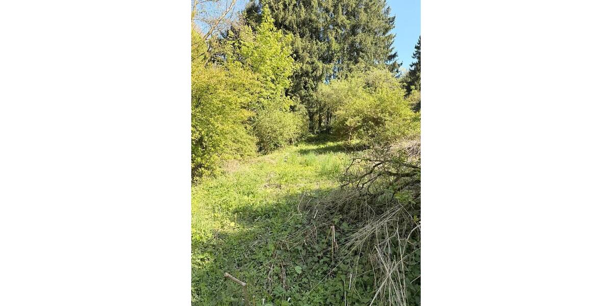 Grundstück Wuppertal Elberfeld - 150&euro; | Angebot:26313073
