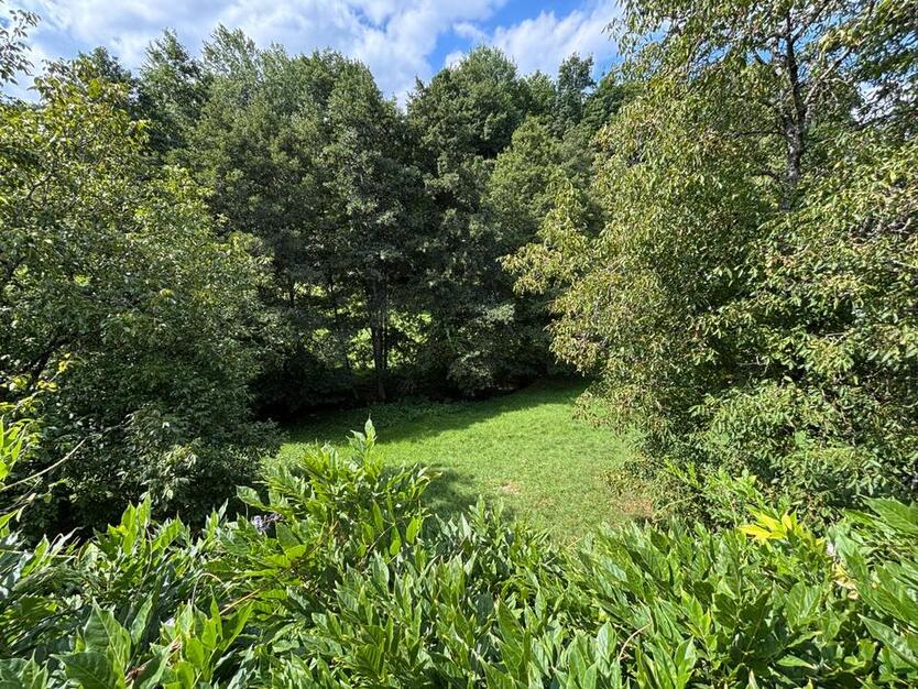 Großzügiges 8 m Breites Reihenendhaus mit schönem Ausblick