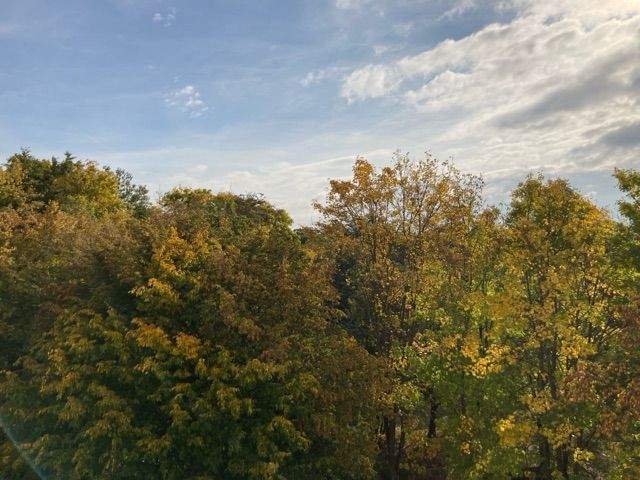 Gemütliche 1-Raum-Wohnung sucht Sie! 1 zimmer