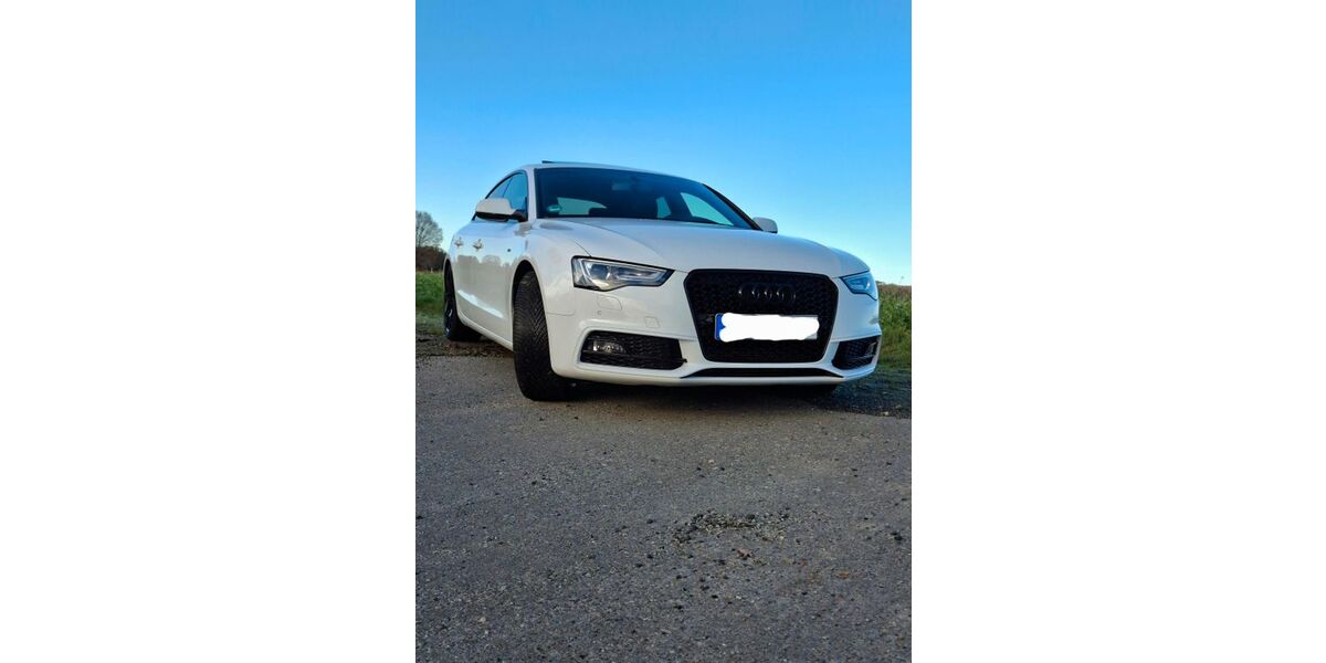 Audi A5 166.000 km 19.499 &euro; Uelzen 29525